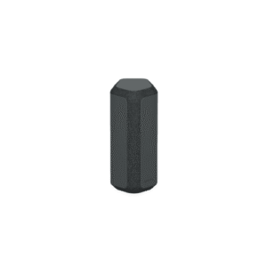 Loa di động Sony SRS-XE300 (Đen)