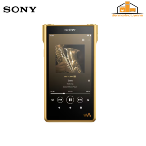Máy nghe nhạc Sony Walkman® | NW-WM1ZM2