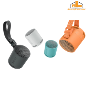 Loa di động Sony SRS-XB100